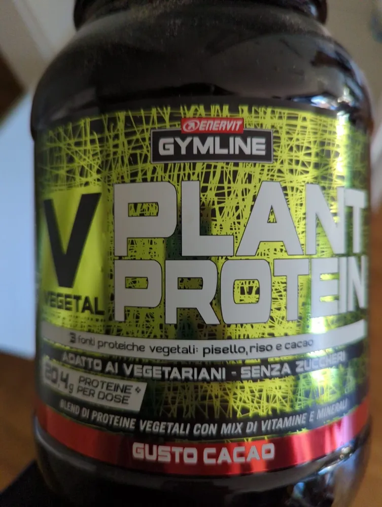 Plant protein