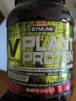 Plant protein