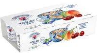 Yogurt intero - 125g x 8 - ciliegia | pesca | mirtilli | frutta e cereali - senza glutine