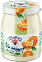 Yogurt biologico intero da latte fieno STG - 150g - arancia