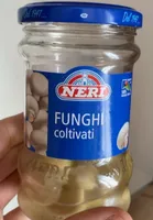 Funghi coltivati