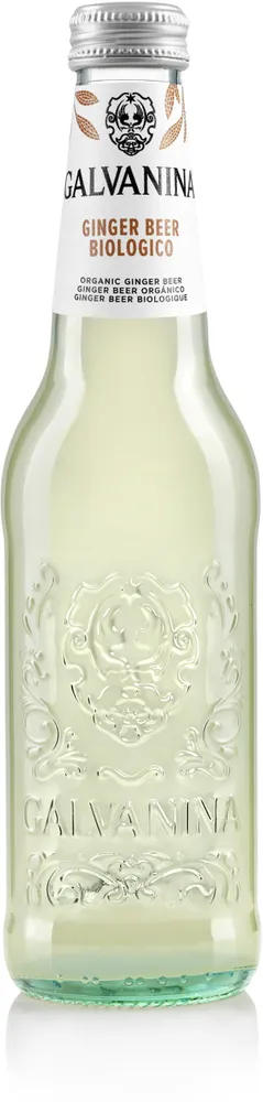 Ginger beer biologico