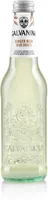 Ginger beer biologico