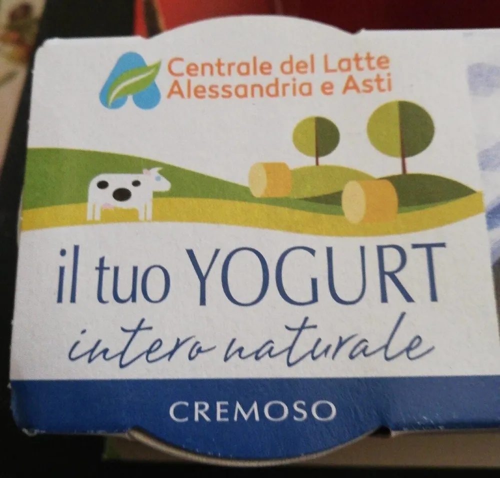 Yogurt intero naturale