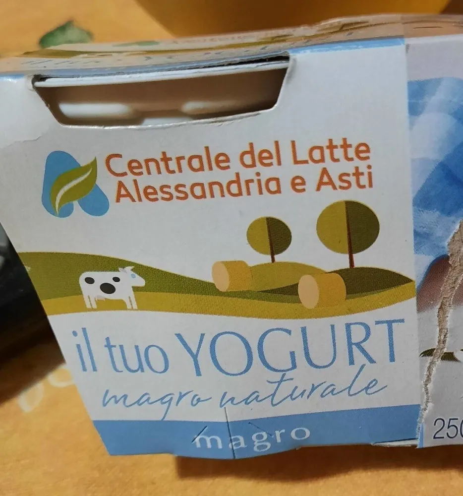Yogurt