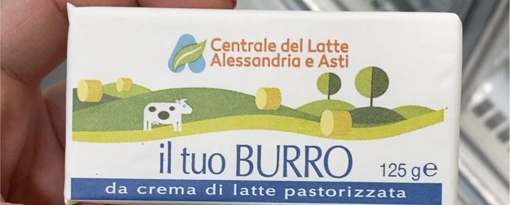 Burro