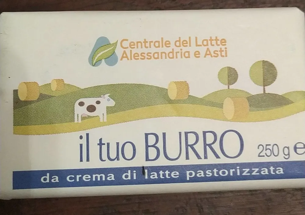 Burro