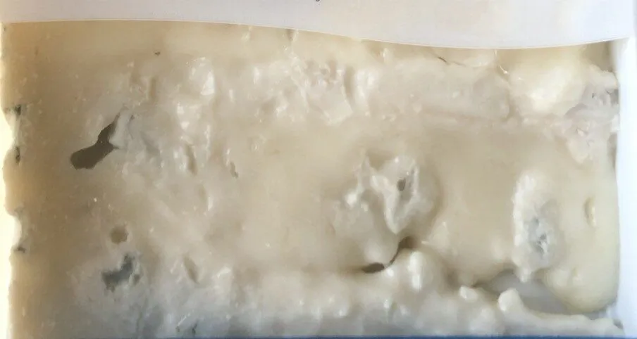 Gorgonzola Dop