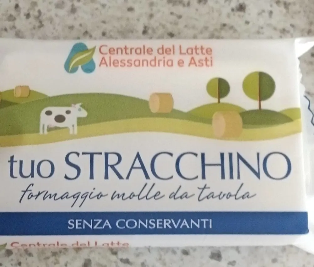 Il tuo stracchino formaggio molle da tavola senza conservanti