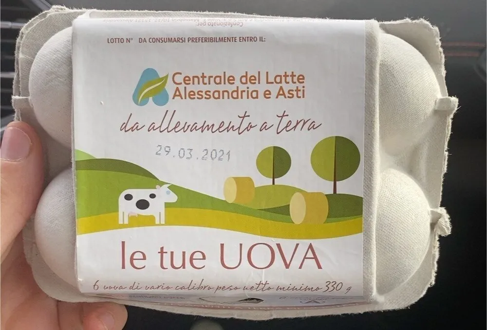Uova