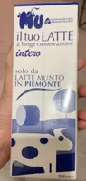 Latte