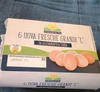 6 UOVA FRESCHE GRANDI "L" DA ALLEVAMENTO A TERRA