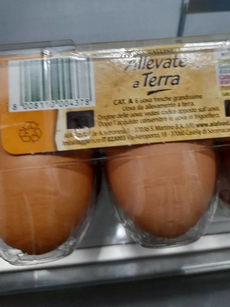 Uova