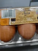 Uova