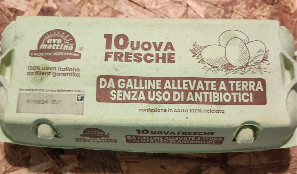 Uova allevate a terra senza antibiotici