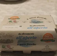 Ovo mattino