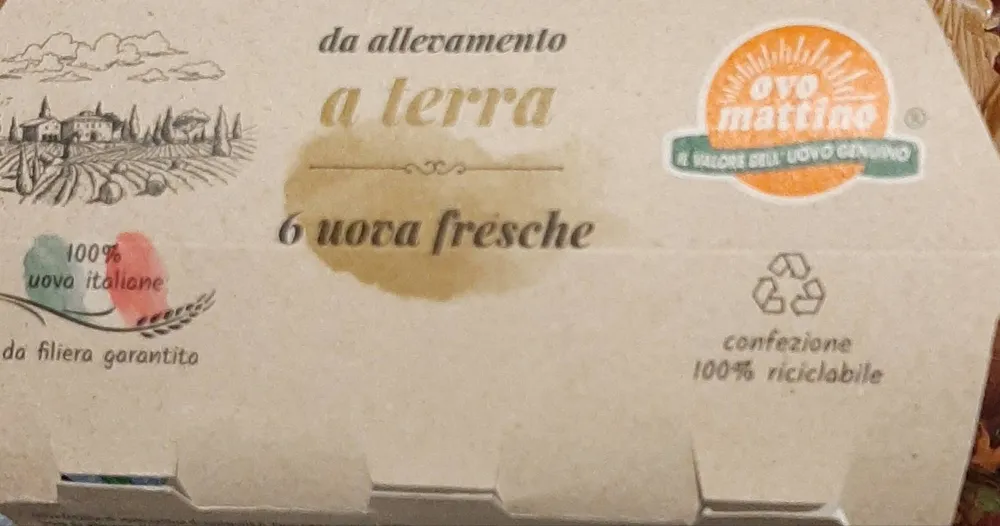 Da consumarsi preferibilmente entro: 6UOVA