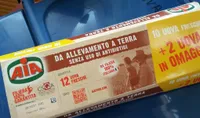 Aia uova di allevamento