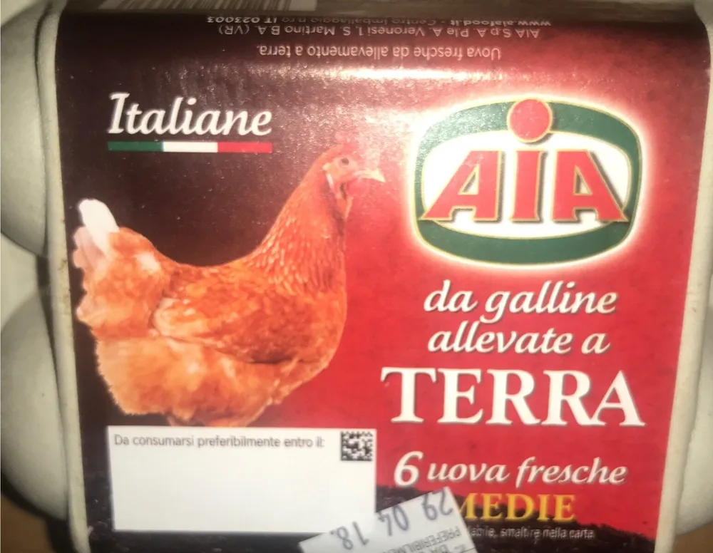 Uove fresche medie