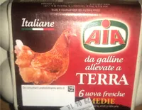 Uove fresche medie