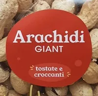 Arachidi giant
