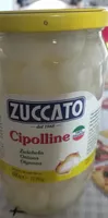 Cipolline