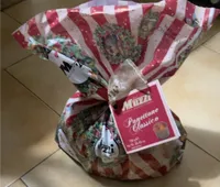 Panettone classico