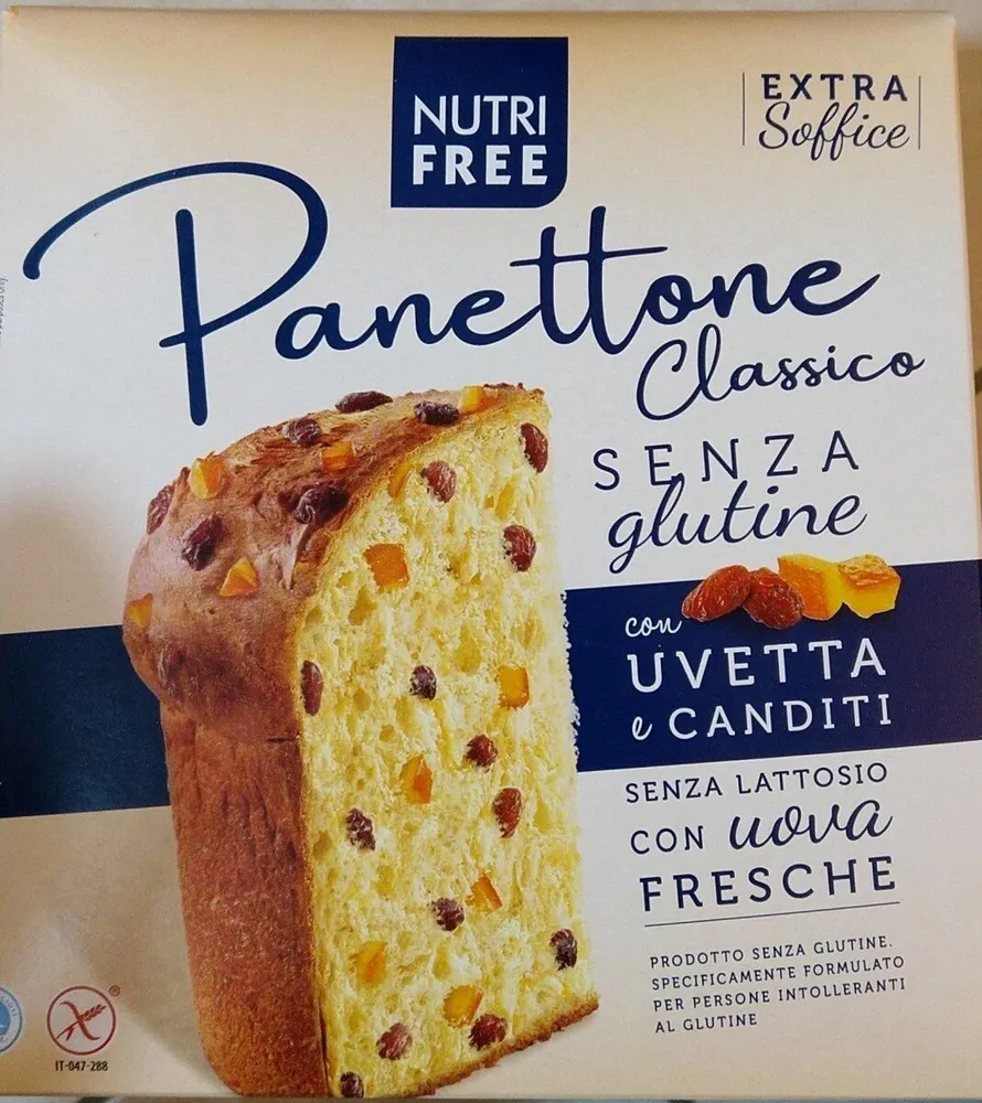 Panettone Classico Senza Glutine