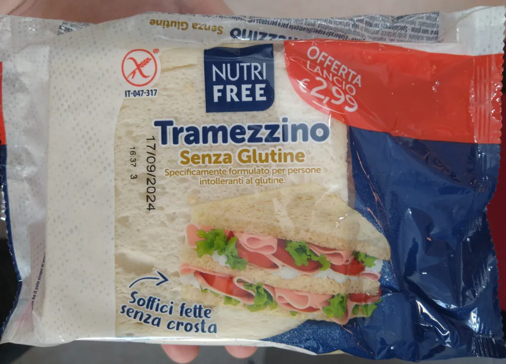 Pane tramezzino senza glutine