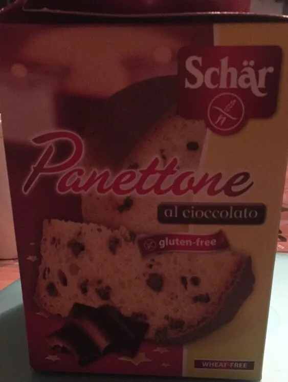 Panettone al cioccolato