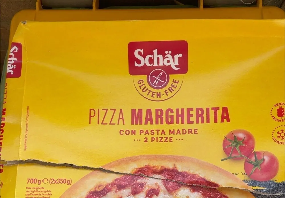 Pizza margherita