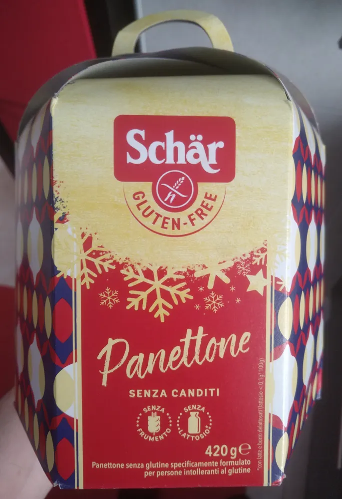 Panettone senza canditi