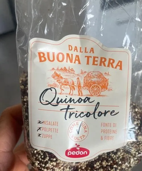 Quinoa tricolore