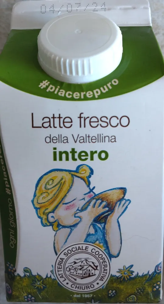 Latte fresco intero