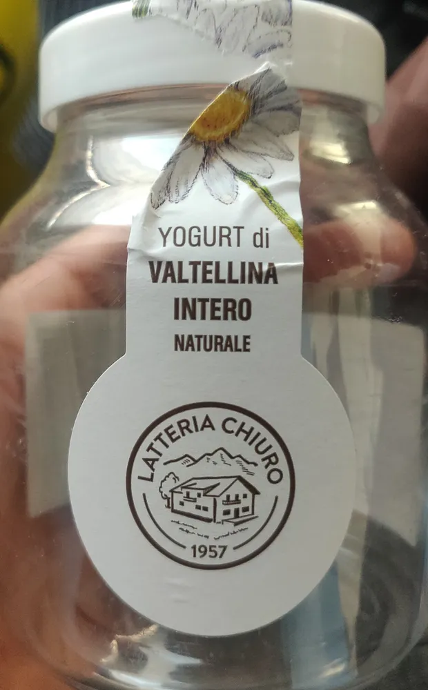 yogurt di Valtellina intero
