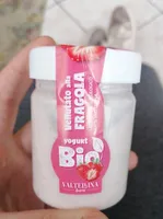 Vellutato alla fragola Bio Yogurt