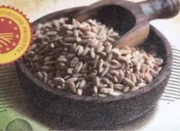Farro