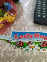Lady bug