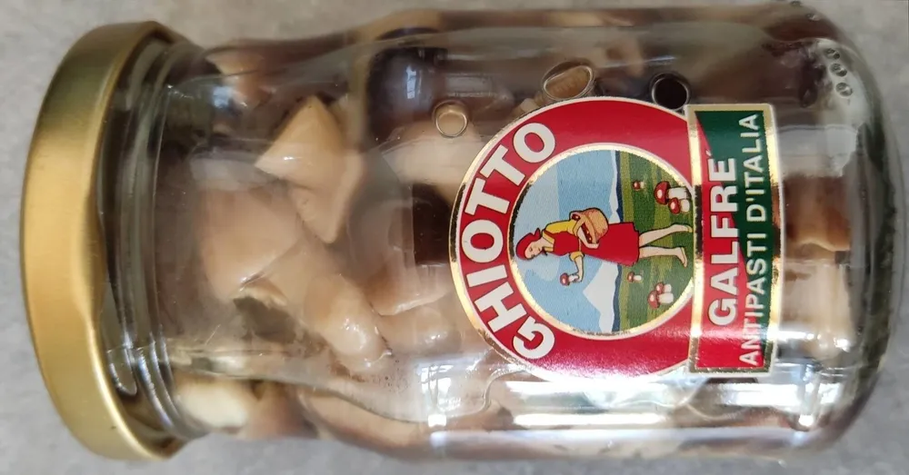 Funghi di muschio