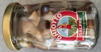Funghi di muschio