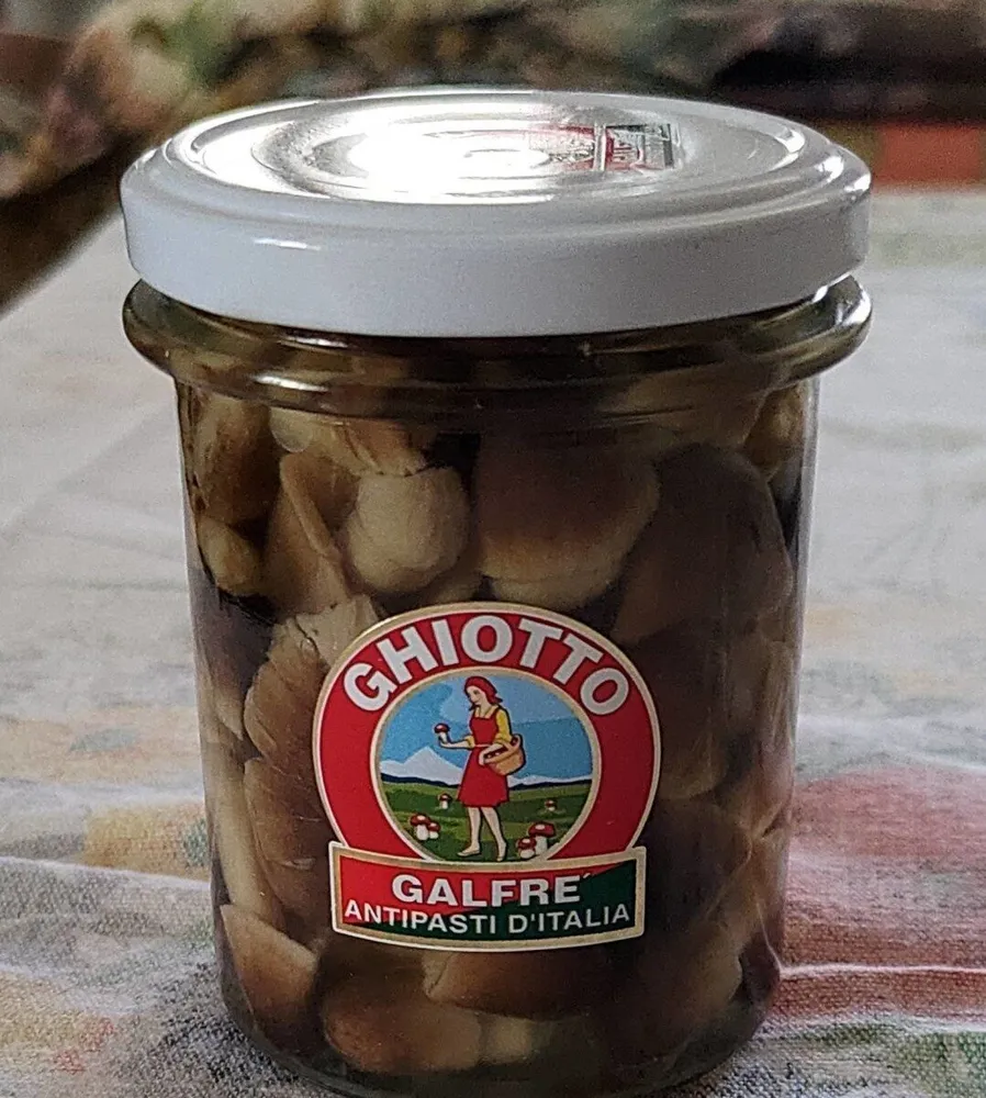 Funghi di muschio