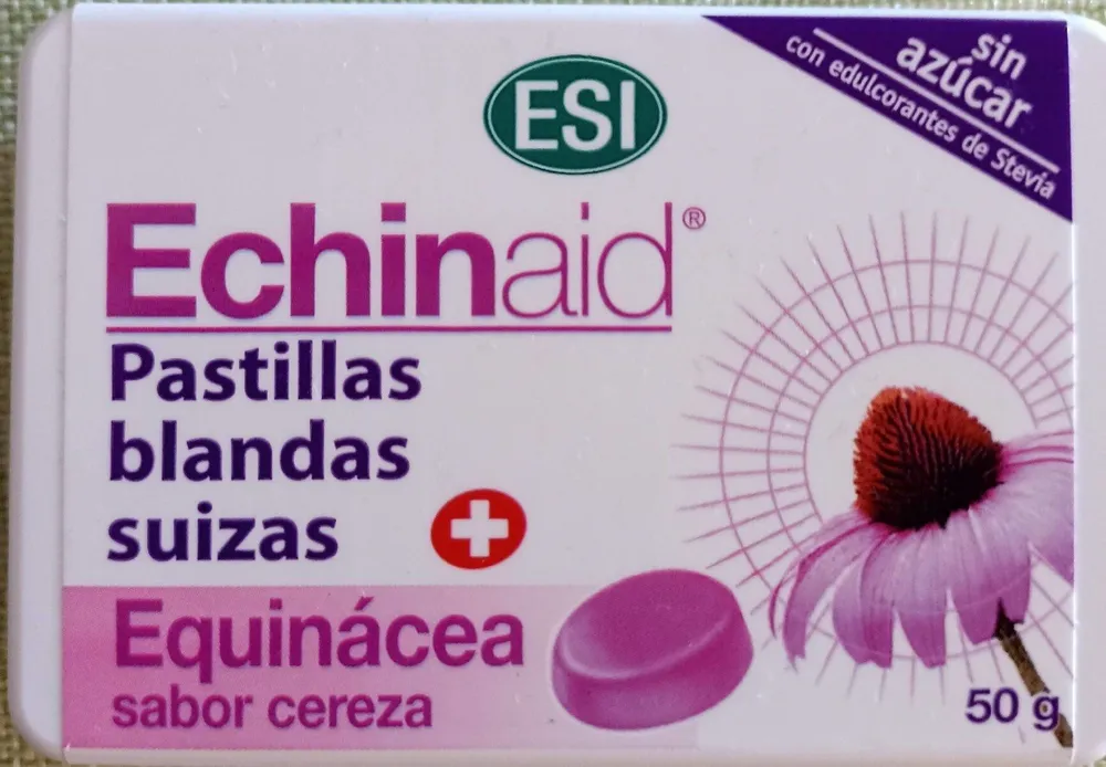 Echinaid