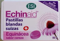 Echinaid