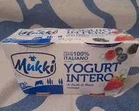 Yogurt intero ai frutti di bosco