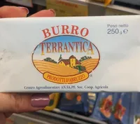 Burro