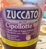 Cipollotte