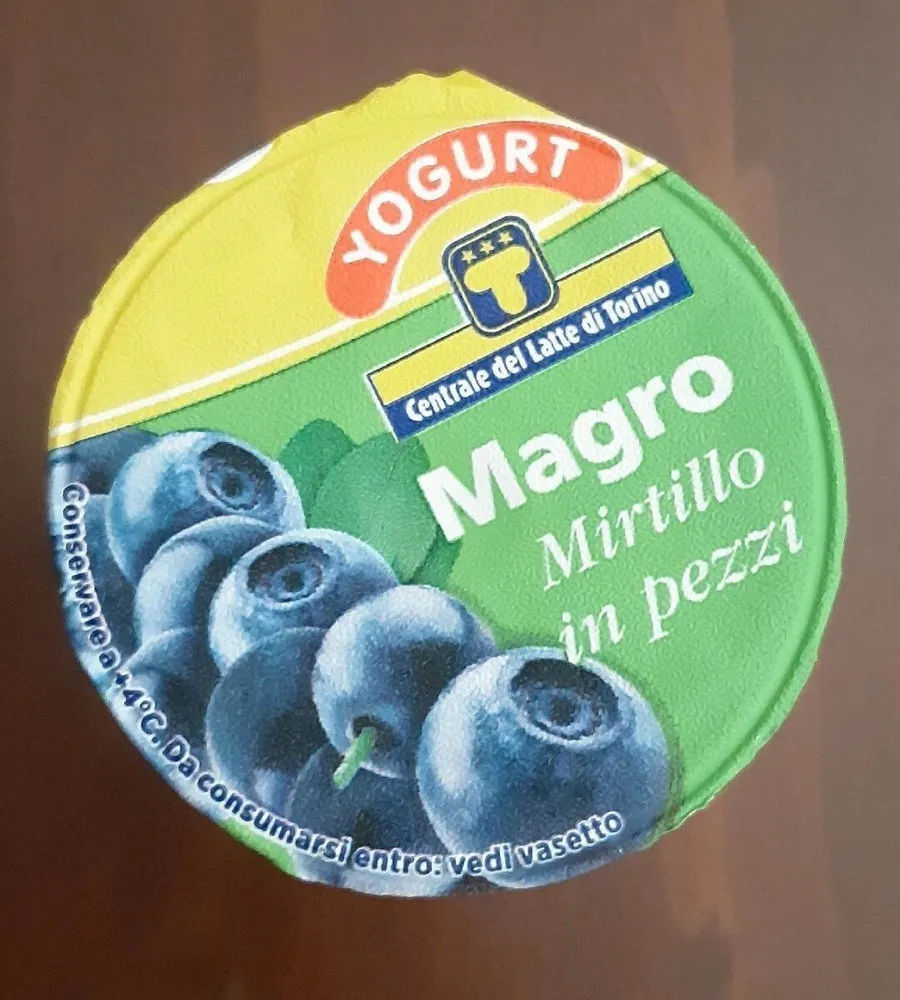 Yogurt Magro con Mirtillo in pezzi