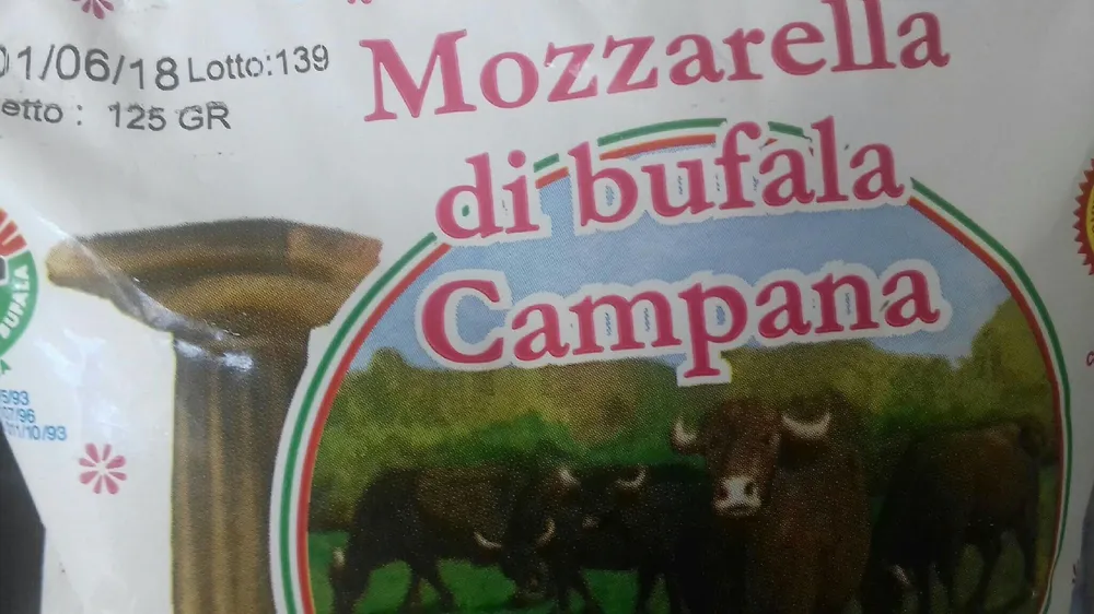 Mozzarella di bufala campana