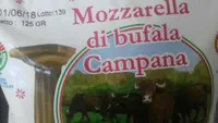 Mozzarella di bufala campana