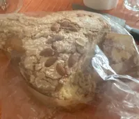 Colomba massera